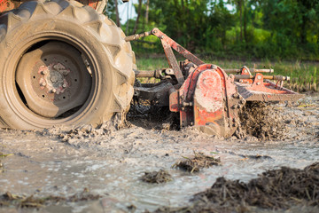 Farmer using tiller machine in rice field, preparing soil before planting rice.
