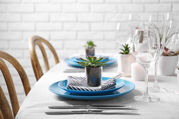 Table served with succulents for dinner