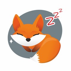 Fox colored illustration on white background cute sleep
