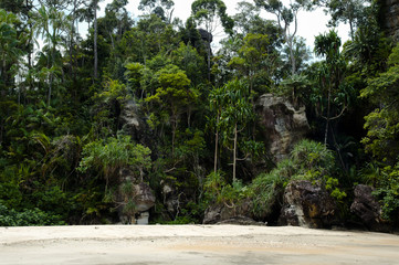 Bako National Park - Borneo - Malaysia
