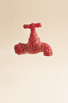 Grifo de carne de vacuno