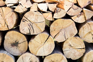 Fototapeta premium Stack of brown wooden log background