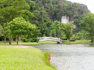 Fototapeta na wymiar Natural view green grass and tree with river and mountain in background. White bridge cross river.