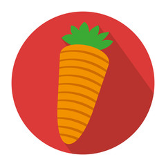 colorful circular shape with carrot vegetable vector illustration