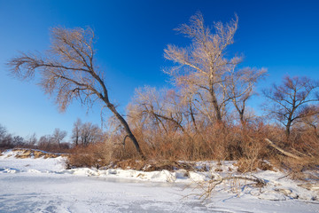 Winter landscape with frozen lake and trees. 