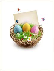 Vector Easter eggs in a wicker nest, green grass and rectangular