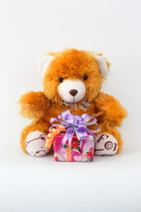 Brown teddy bear and gift boxes on a white background.