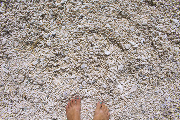 Coral beach top view photo for background or template.