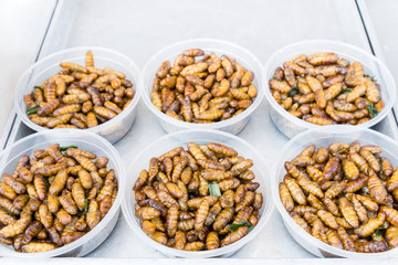 fired silk worm as snack in Asia