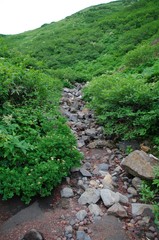 秋田駒ヶ岳 登山道