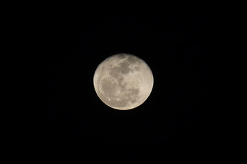 Close up moon