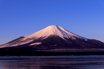 Fototapeta premium 山中湖より紅富士