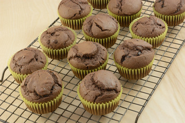Batch of sugarless chocolate chop chocolate muffins on cooling rack