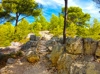 Calanque between Marseille and Cassis, Provence, France