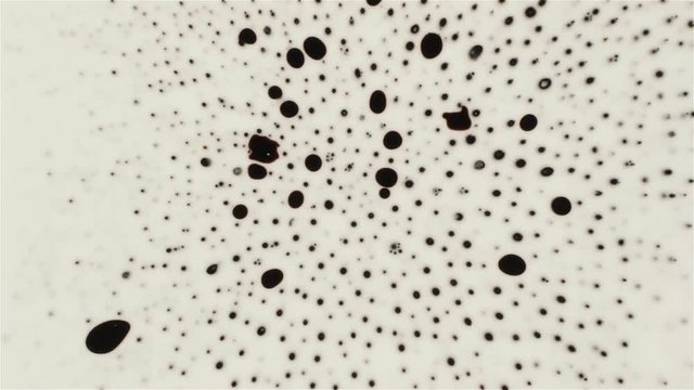 Fantastic patterns and shapes. Ferrofluid and paint. Close-up.