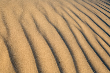 Rippled sand in the desert of Death Valley