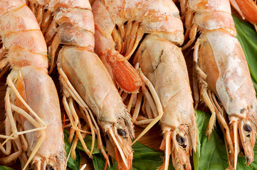tiger shrimps on wooden Board with Basil leaves