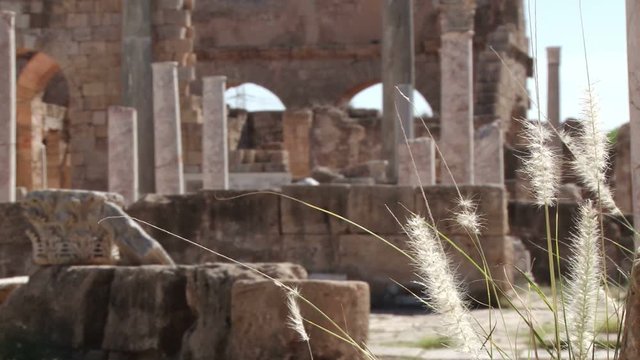 Dry grass blows in the wind with the forum of Leptis Magna in the background