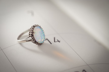 Calendar page with the Opal Ring on February 14 of Saint Valentines day, AF point selection.