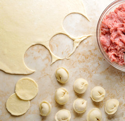 preparation of meat dumplings - minced meat, rolled out the doug