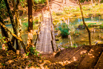 Natural view in Doi Phu Nang national park