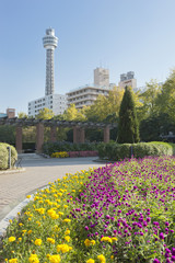 Fototapeta na wymiar 山下公園の花壇とマリンタワー（神奈川県横浜市中区）