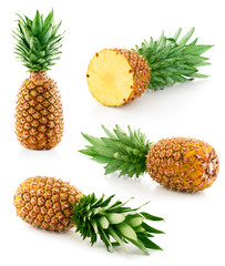 Fototapeta premium pineapple isolated on white