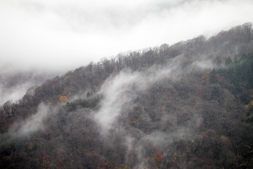 山霧