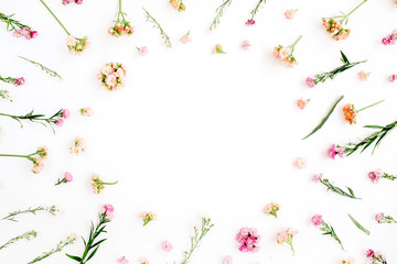 Frame with pink and beige wildflowers, green leaves, branches on white background. Flat lay, top view. Valentine's background