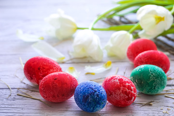 Easter still life with colored eggs and white tulips