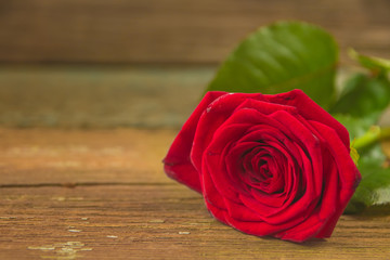 Red rose flower on a old wooden table