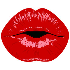 Valentines day lips logo.Love,sexy,intimacy and kiss.Red kissing  cartoon sexy lips isolated decorative icons for party presentation. Valentines day,love,wedding card, background.vector illustration