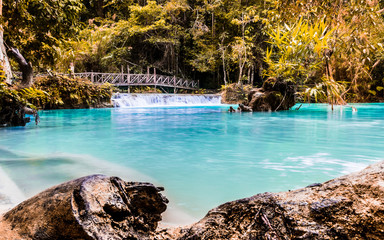 the landscape of LAOS