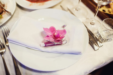 Little violet flower lies on top of white dinner plate