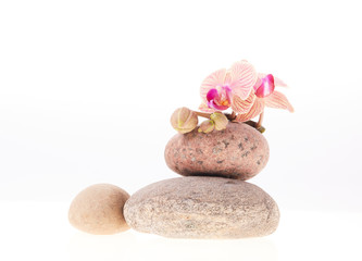 Spa composition on a white background..