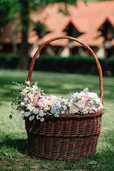 Fototapeta na wymiar Brown basket with white and blue flowers stands on lawn
