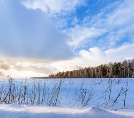 Winter January landscape. Tula region.