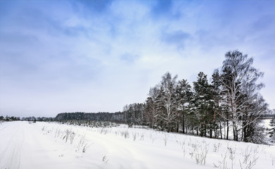 The road on the snow-covered wood, Moscow area