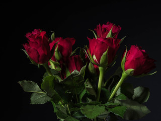 Bouquet of red roses on a black background