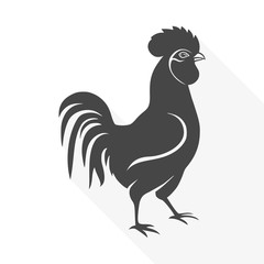 Rooster - vector Illustration with long shadow