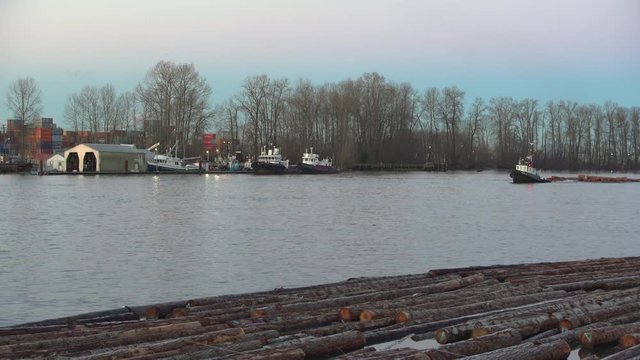 Tug Boat Towing Log Boom, Fraser River 4K. UHD. A tugboat tows a log boom up the Fraser River at dawn. 4K UHD.
