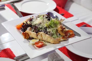 Grilled chicken fillet with vegetable salad. Slices of chicken breast fillet with green salad.