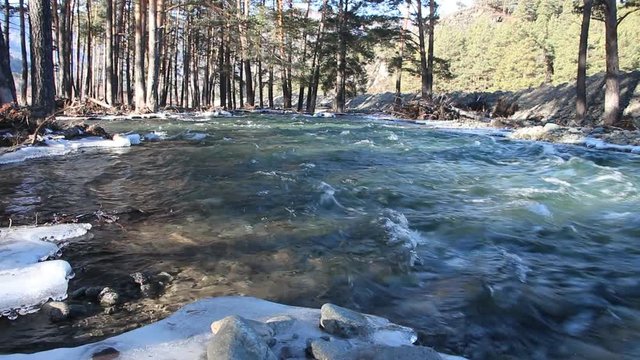 Water quickly current in the freezing river, Chemal River, Altai, Russia 
