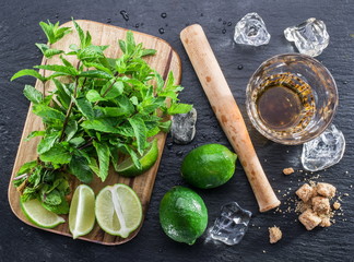Mojito cocktail ingredients.