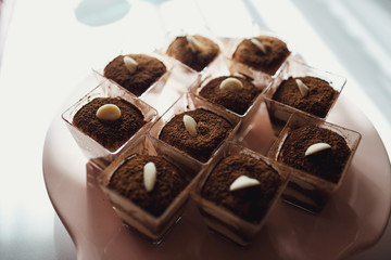 Tiramissu dessetts served in little glasses
