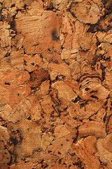 Cork board texture or background, large grain, closeup