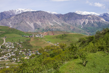 Fototapeta na wymiar Spring in Dushanbe