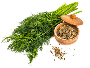 Dry seeds and green sprigs of dill on a white background