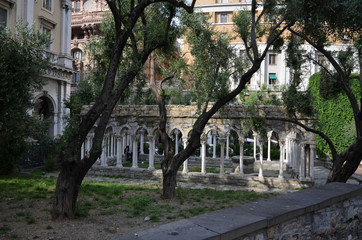Fototapeta premium Genovese