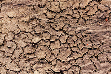 Drought land